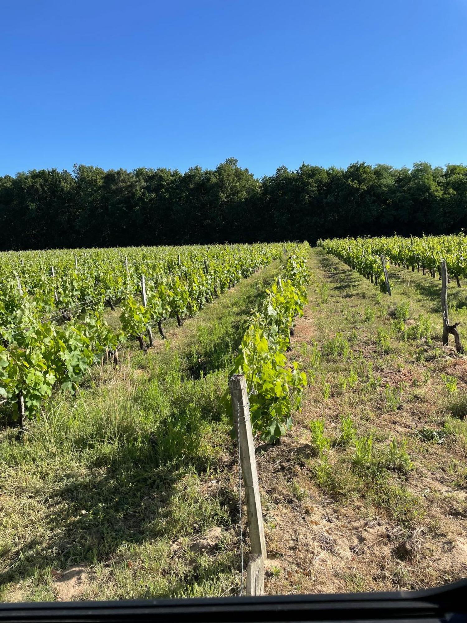 Domaine Des Quatre Terres Lesparre-Médoc Exterior foto